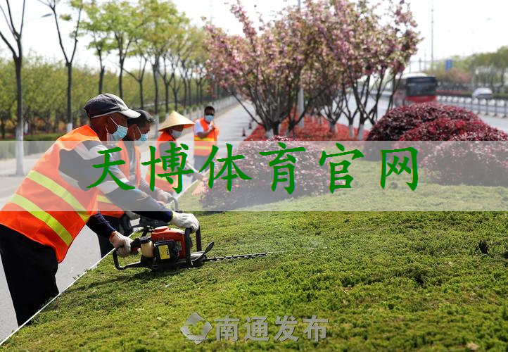 任丘城市绿化带种植什么植物比较好