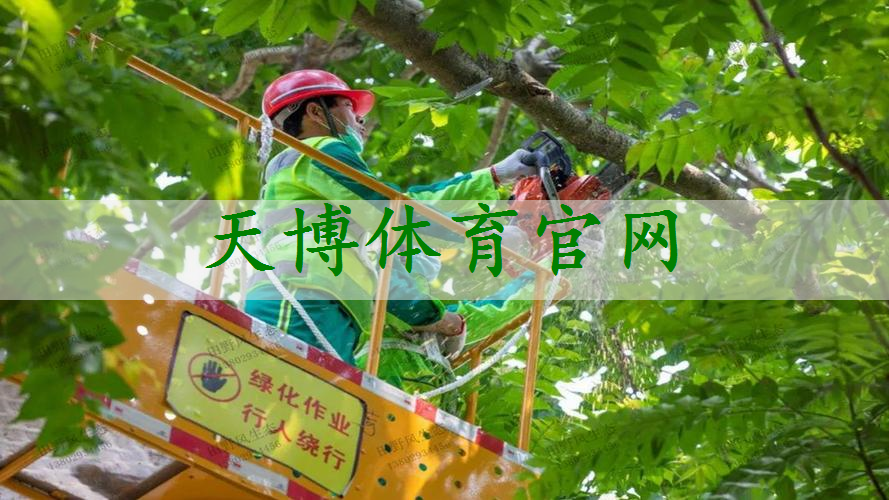 交安绿化工程报价清单